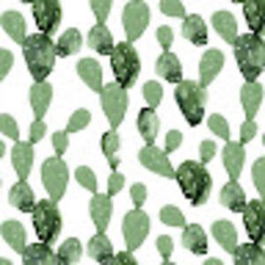 Meet your Posher, Devyn